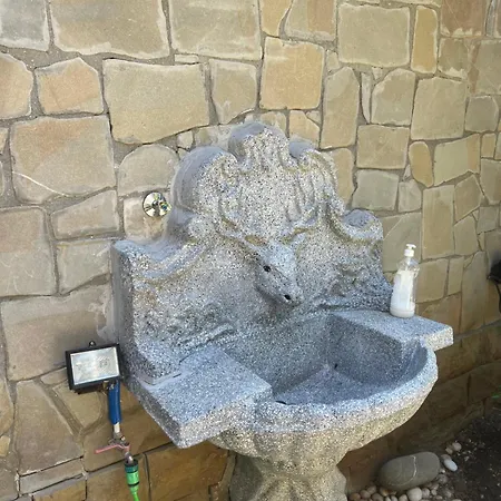 Doctor's House * Tepelene