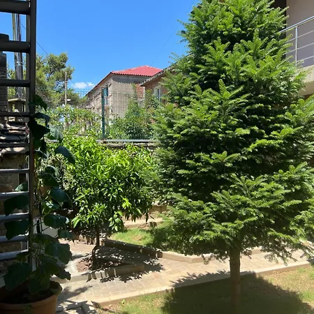 Πανσιόν Doctor's House