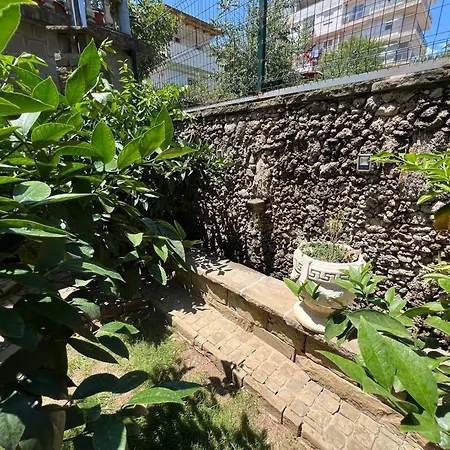 Gasthof Doctor's House *