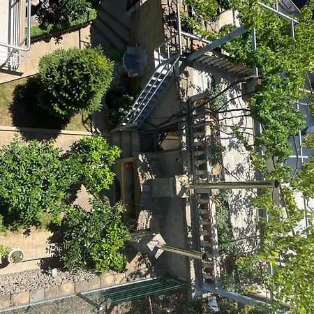 Doctor's House Tepelene