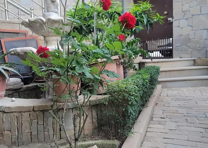 Pensjonat Doctor's House Tepelene