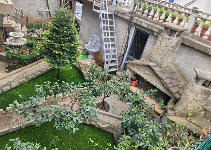 Doctor's House Πανσιόν *