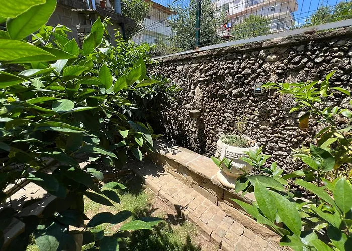 Πανσιόν Doctor's House *